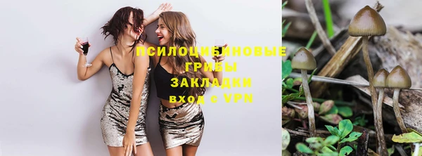 ешки Покровск