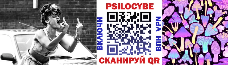 blacksprut зеркало  Саяногорск  Галлюциногенные грибы Psilocybe 