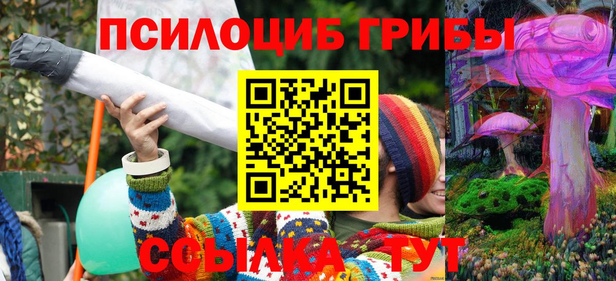 Галлюциногенные грибы Magic Shrooms Саяногорск