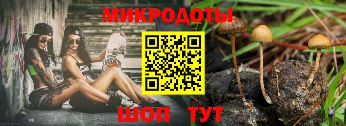 Псилоцибиновые грибы Psilocybe  как найти наркотики  Саяногорск  Вход с VPN 